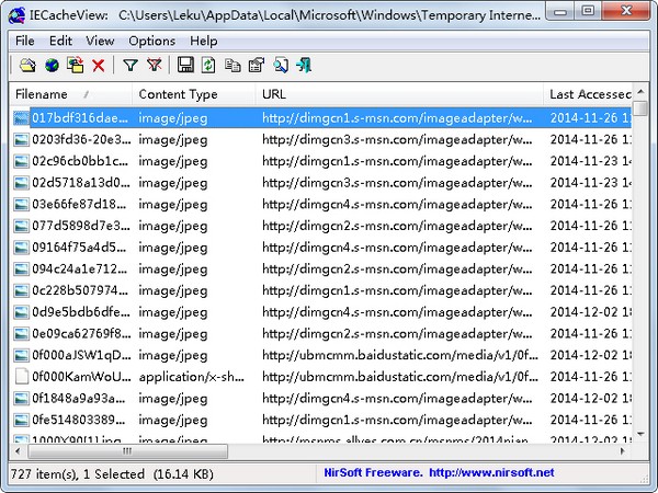 IECacheViewer(IE缓存查看器) V1.54 英文版