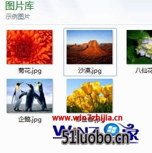 win10系统文件缩略图全部无法显示如何解决