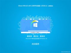 ܲ԰ Ghost Win10 64λ1809רҵ棩V2018.11棩