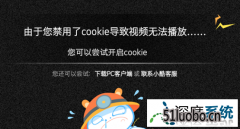 win10ϵͳſҳƵ޷ô죿