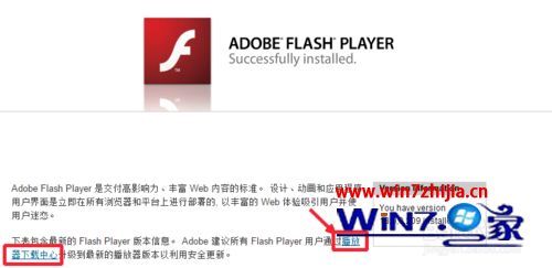 win10ϵͳAdobe Flash Player