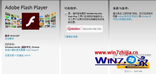 win10ϵͳAdobe Flash Player