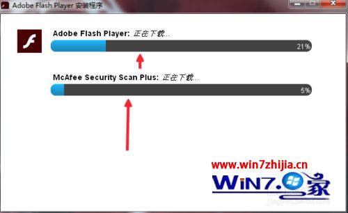 win10ϵͳAdobe Flash Player