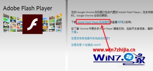 win10ϵͳAdobe Flash Player