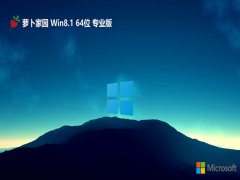 ܲ԰win8.1⼤64λ弼v2024.05