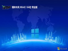ľwin8.1⼤64λͨv2025.05