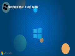 Աwin11 64λؿðv2025.05