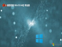 ѻ԰win10 64λµǿv2024.05⼤