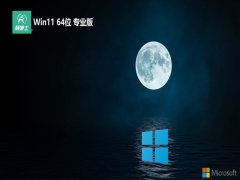 <font color='#0000FF'>ʿwin11 64λ ⼤Ƽv2025.05</font>