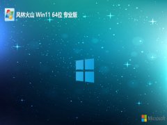 <font color='#990000'>ֻɽwin1164λװv2025.05</font>
